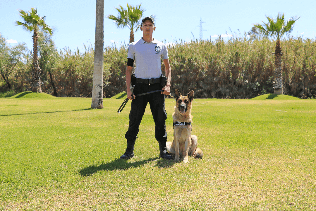 Arezsero-adiestramiento